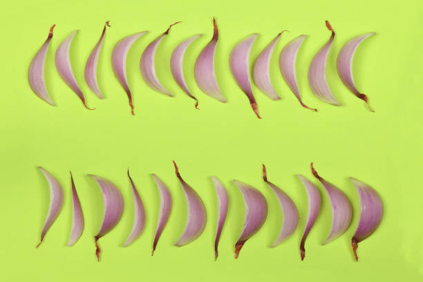 istock Sliced red onion slices isolated on green background. 1678572640