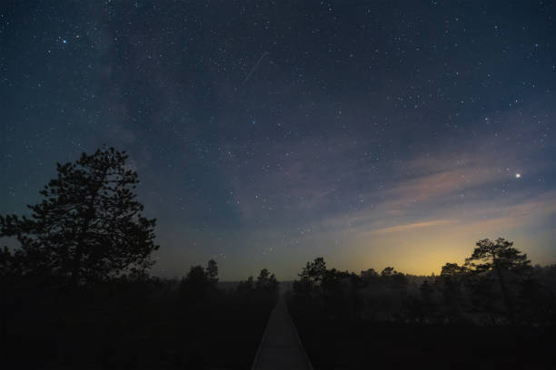 istock Night landscape on the Viru swamp under the starry sky. 1678629081