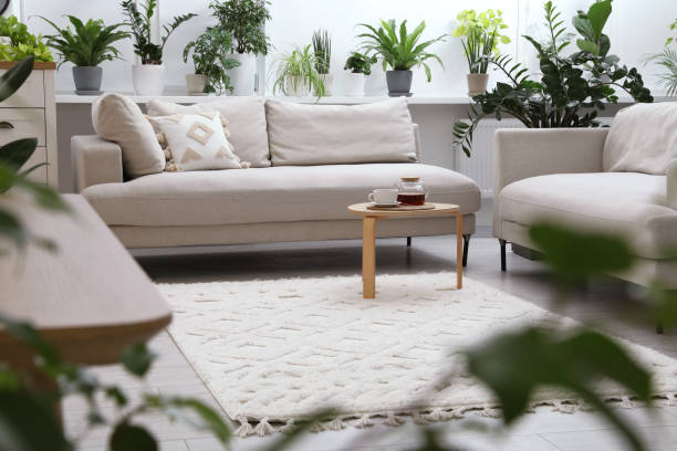 istock Stylish room with different potted green plants and comfortable sofa. Interior design 1678656893