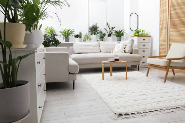 istock Stylish room with different potted green plants and comfortable sofa. Interior design 1678657430