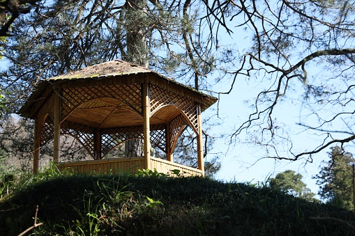 Picturesque view of wooden gazebo and green plants on sunny day
