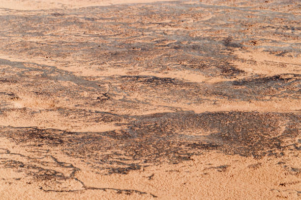 istock Macro photo shore salt lake, design texture pattern concept natural or wallpaper, abstract ornamental surface from sand and mud, dry ground landscape view, aesthetic nature background, curle lines 1678662317