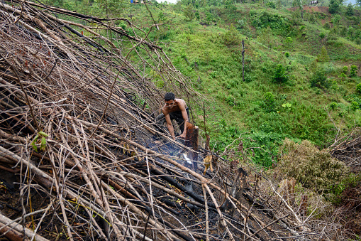 Men clear land with chainsaws for burning, clearing land by burning is often done by farmers to minimize costs.
