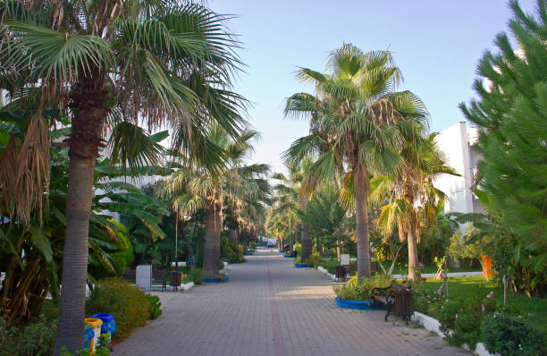 beach background at sunrise, front view. Aspat Beach Bodrum