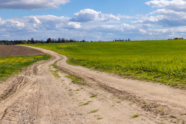istock unpaved road in rural areas in spring, unpaved road 1678675081