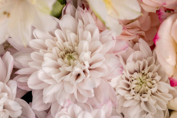 istock a bouquet with different types of flowers in close-up 1678676927