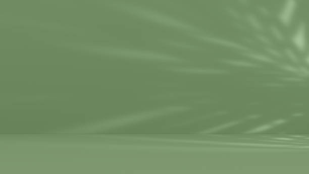 istock Empty green color room with light beams 1678697898