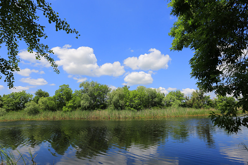 Nice summer landscape in river in forest. Nice clouds over water. Take it in Ukraine