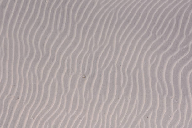istock Texture Sand, ripples of wind over sand texture background 1678710802