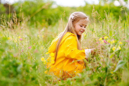 A little girl in a yellow coat is having fun, collecting wildflowers in the park. The child explores nature. The concept of childhood, joy.