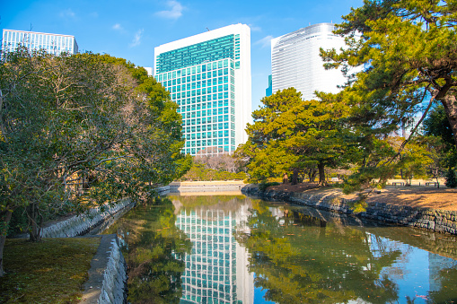 Hamarikyu Gardens is a large and attractive landscape garden in Tokyo, Chuo district, Sumida River, Japan. Oriental japanese garden. The Hamarikyu is in contrast to the skyscrapers of city