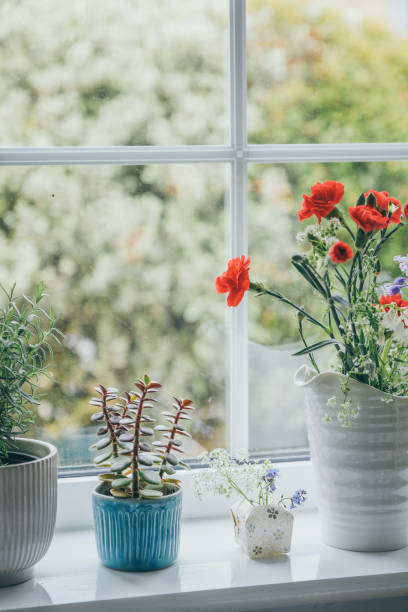 istock Wildflowers in small paper vase 1678750251