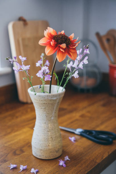 freshly cut dahlia and purple toadflax flowers (linaria maroccana ) - fresh cut flowers imagens e fotografias de stock