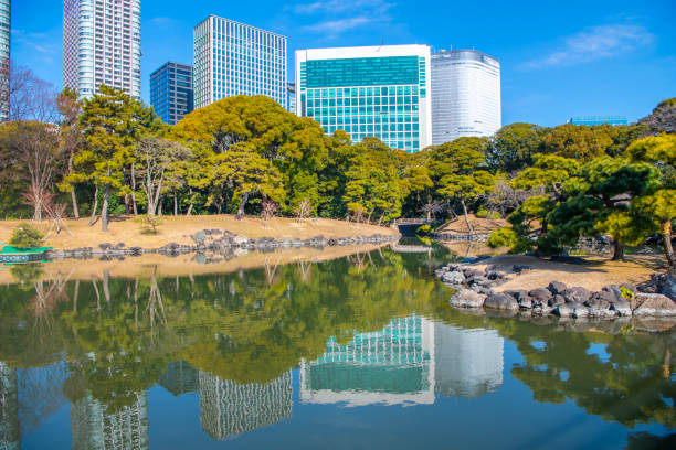 Hamarikyu Gardens is a large and attractive landscape garden in Tokyo, Chuo district, Sumida River, Japan. Oriental japanese garden. The Hamarikyu is in contrast to the skyscrapers of city