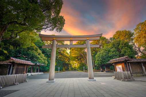 Meiji Shrine Temple, Tokyo, Japan