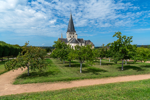 Fruit trees in the gardens of Saint Georges de Boscherville Abbey