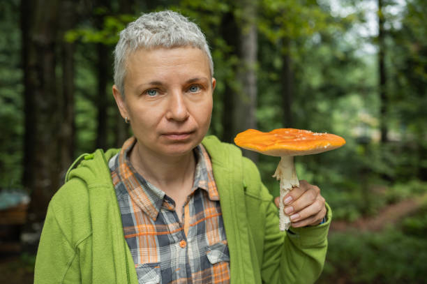 istock Poisonous or medicinal mushroom? Red fly agaric 1678800511