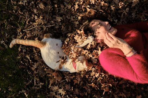 Beautiful woman wearing a red sweater lying on autumn leaves playing with her pet.
