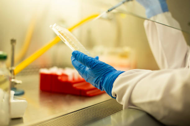 istock Cell culture and microbiology laboratory 1678853354