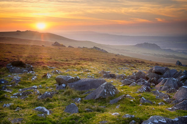 istock Carn Goedog in the Preselli Hills 1678854418
