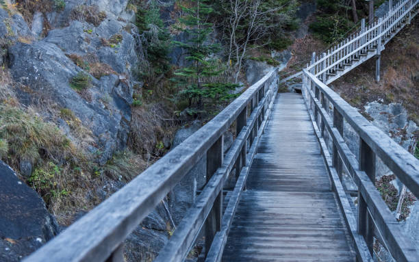 View of an empty wooden footpath on a mountain in the forest. Nature and travel concept.