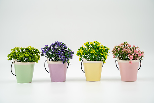 Miniature artificial flowers in pots isolated on white background.
