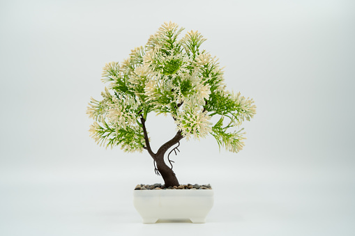 White artificial miniature bonsai trees isolated on white background.