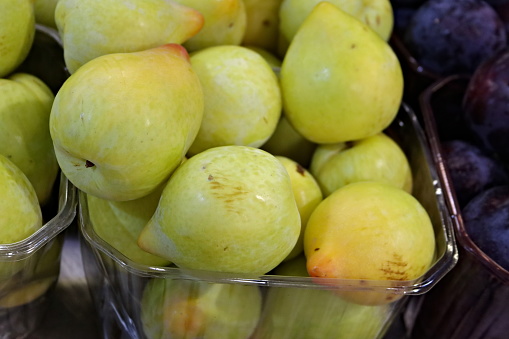 Harvested pears