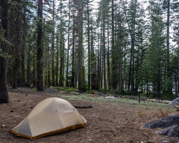 istock Backpackers Tent in Backcountry Site at Laurel Lake 1678996671
