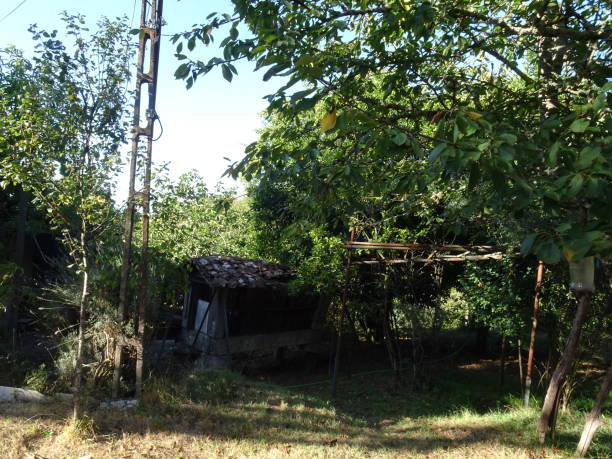 istock the village 1679024883