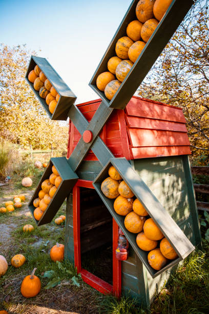 istock Market stall idea for Halloween Event 1679033465