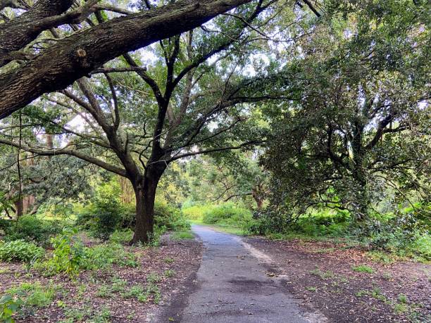 istock Hampton Park in Charleston, South Carolina 1679085495