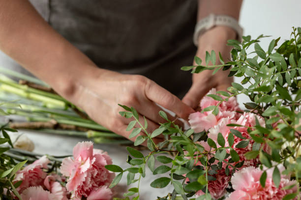 istock Female hands working with flowers 1679128576
