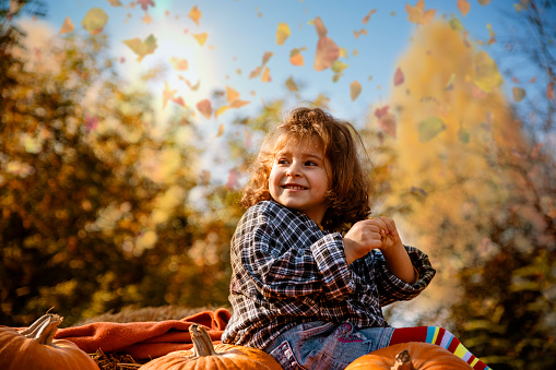 Little Girl sitting on Pumpkins in autumn day