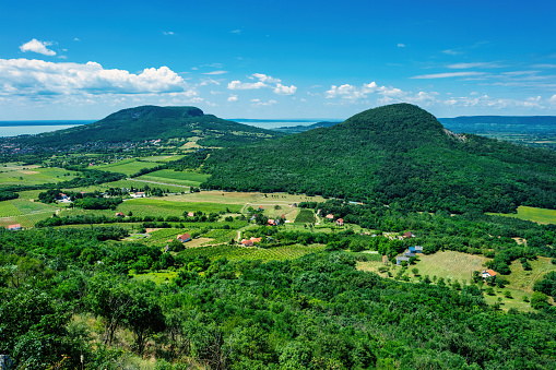 Landscape in the Badacsony Wine Region near Lake Balaton, Hungary