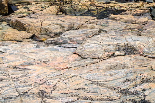 Details of rock formation on the St. Lawrence river shore in Bergeronnes, Quebec, Canada during summer day