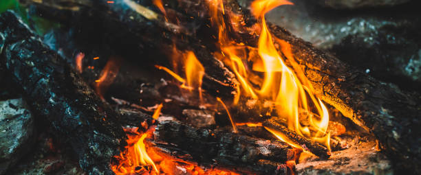 istock Vivid smoldered firewoods burned in fire close-up. Atmospheric warm background with orange flame of campfire and blue smoke. Wonderful full frame image of bonfire. Burning logs in beautiful fire. 1679197686