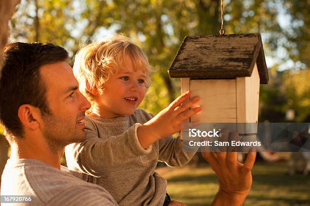 Father And Son Examining Birdhouse Stock Photo - Download Image Now - Birdhouse, Bird Feeder, Hanging