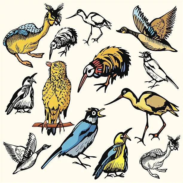 Vector illustration of Bird Illustrations IX: Birds  (Vector)