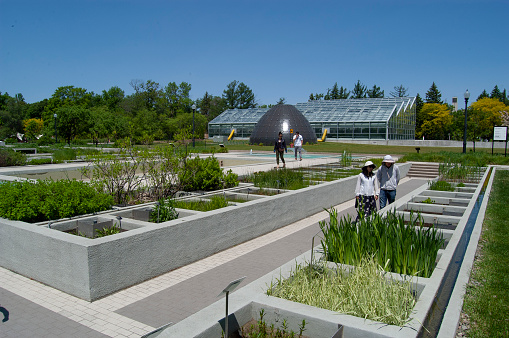 People browse through a section of the Montreal Botanical Garden. Different plants are in a series of square areas separated by cement.