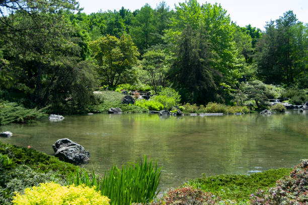 Montreal Botanical Garden stock photo