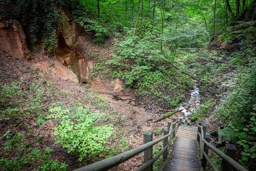 Panorama of a forest stream river with water flowing in a ravine through a european forest in Sigulda, latvia, in sateseles kanjons, in the baltic states, with green trees and moss.
