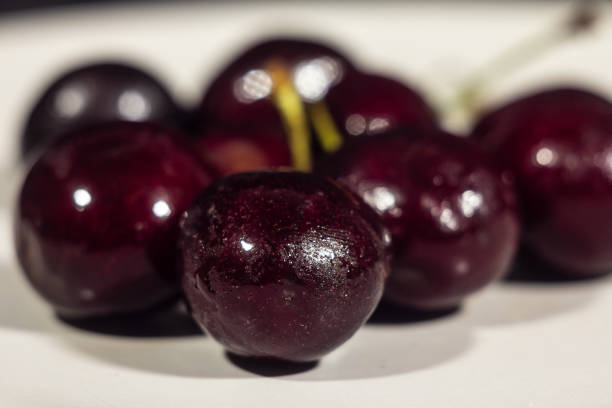 istock Selective blur on red cherries on a plate, in a studio shot. Cherries, also called prunus cerasus,i s a berry also known as sour cherry. 1679285249