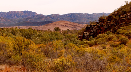 The wide open beauty of the desert landscape of the Flinders Ranges National Park in South Australia