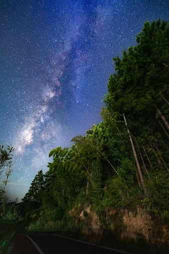 Milky Way Galaxy shot in forest of China rural area above a running path