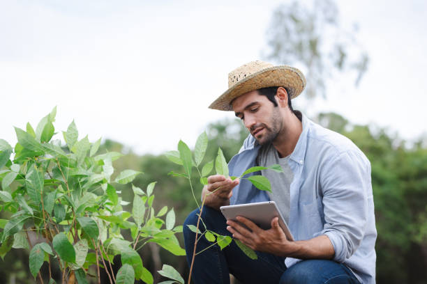 istock Farmers selection tree saplings to plant for the carbon trap project.using tablet. 1679375555