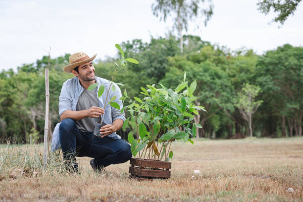 istock farmer holding green plant in his hand.Long-Term Commitment concept. 1679376684