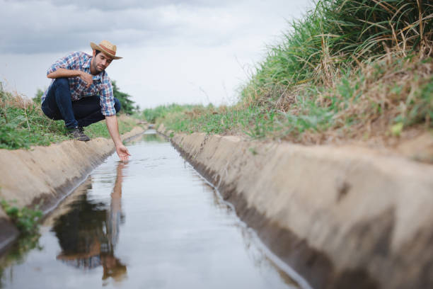 istock Farmers and water system management in sugarcane fields 1679377227