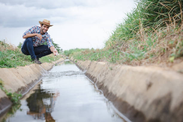 istock Farmers and water system management in sugarcane fields 1679377231