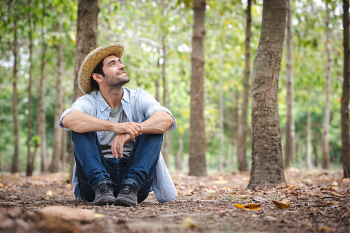 The peaceful ambiance of a forest garden can be conducive to focused work or relaxation. It's an ideal place for meditation, reading, writing, or simply unwinding and escaping from the hustle and bustle of daily life.